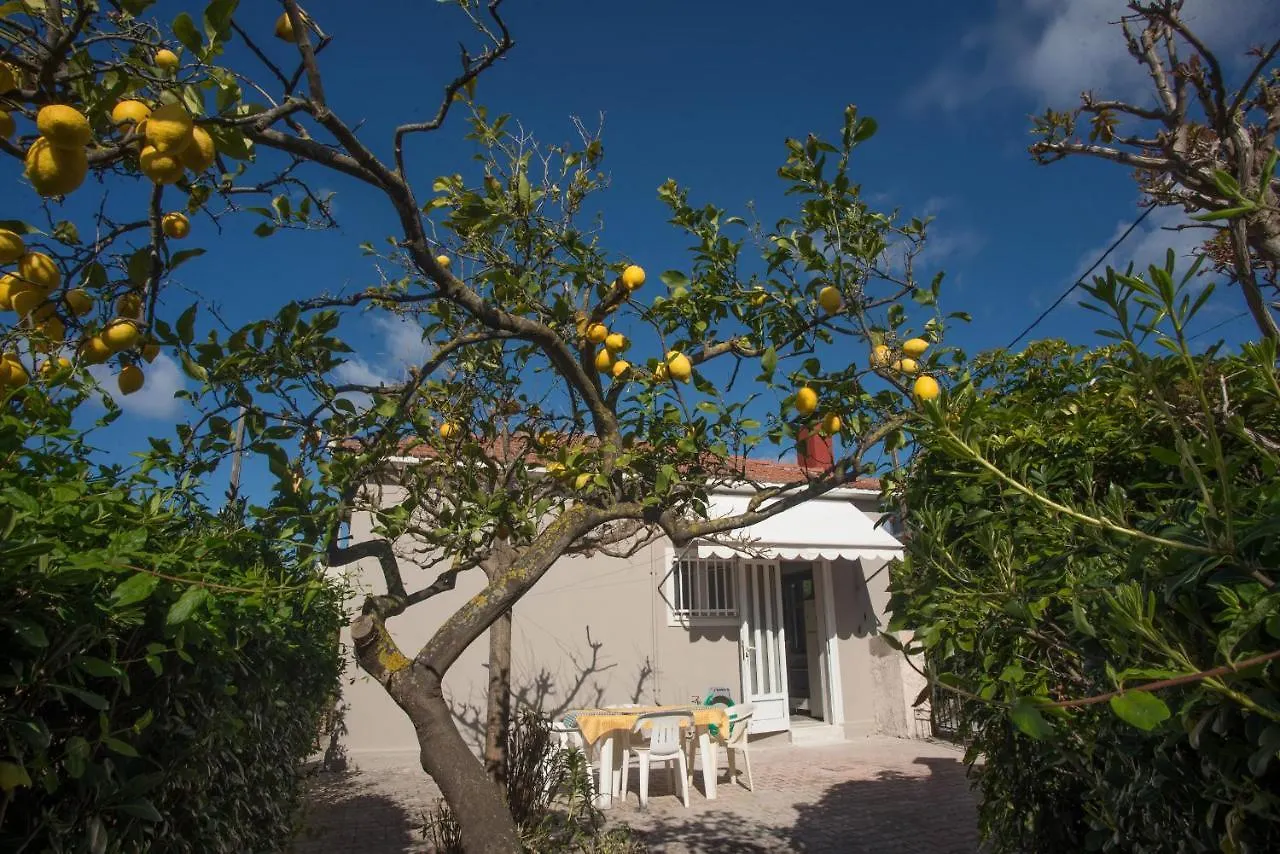 Fay'S Home Kefalonia Metaxáta Nyaraló